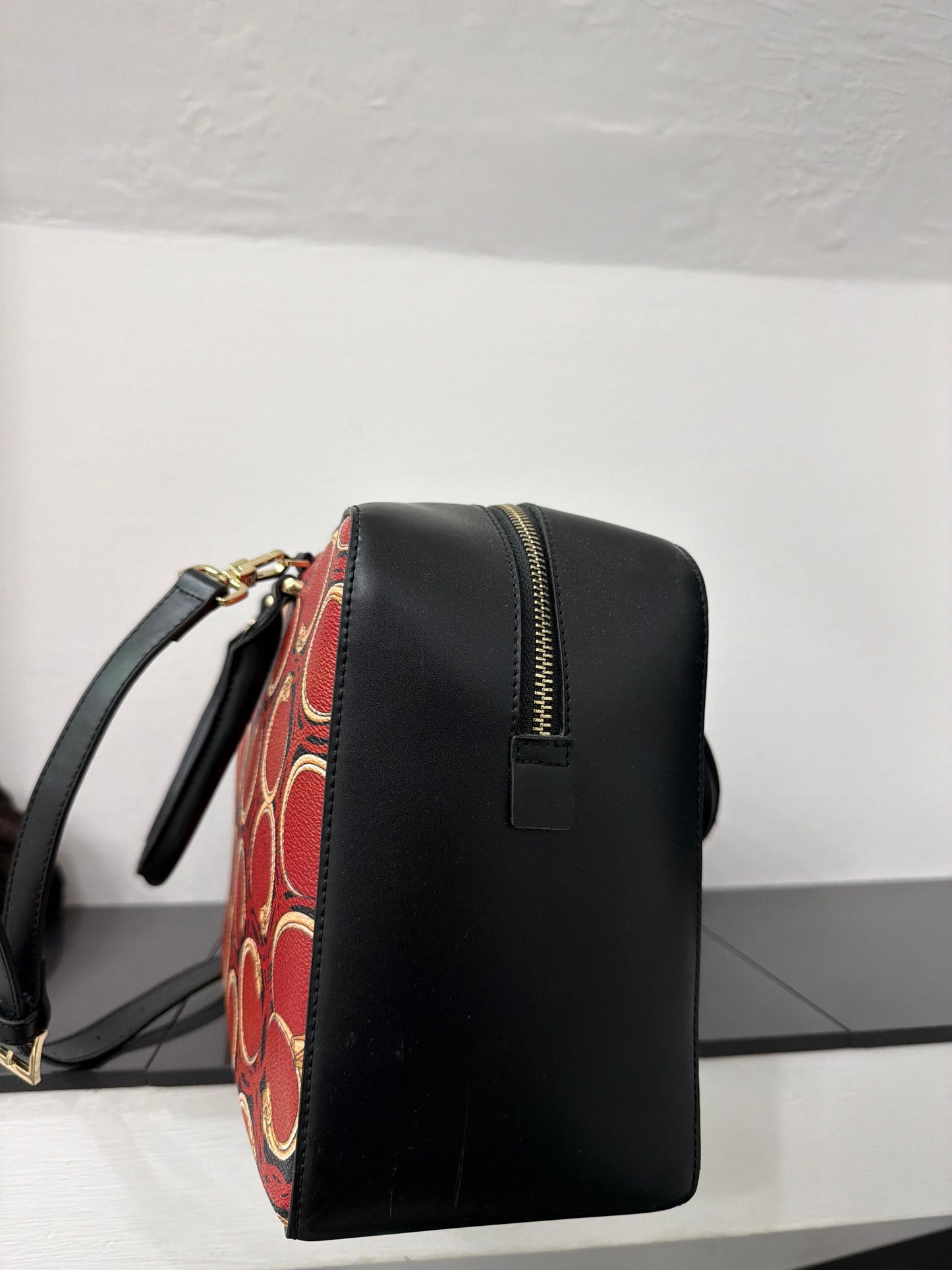 Accessori Roberto cavalli